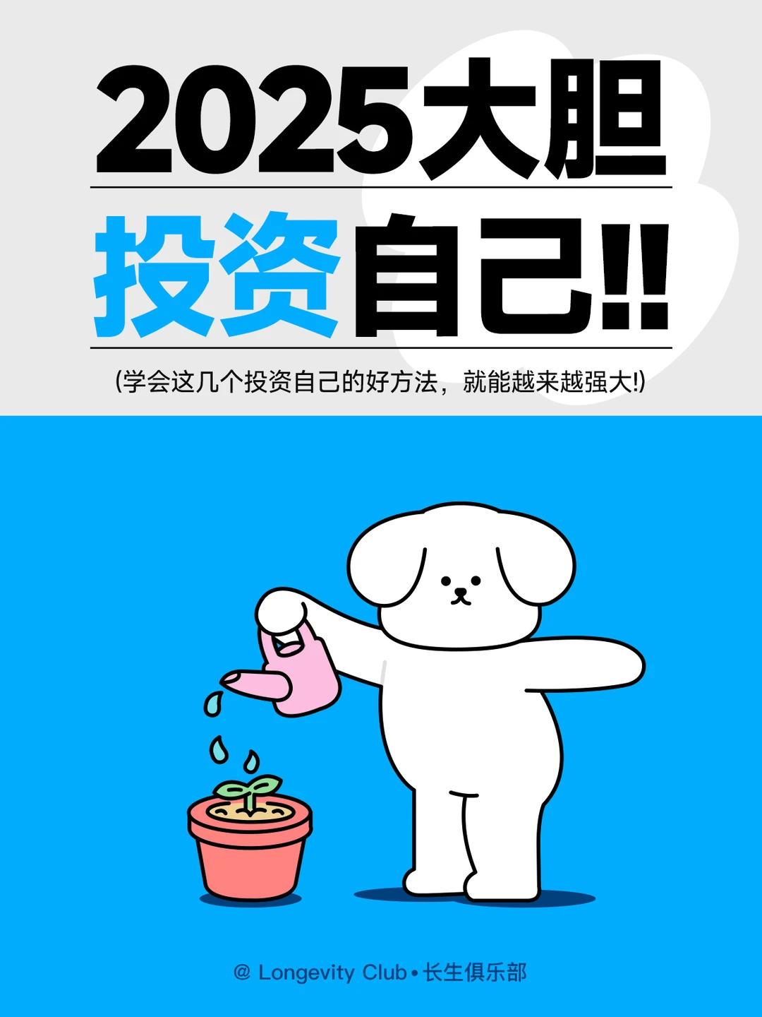 2025！请大胆投资自己！！