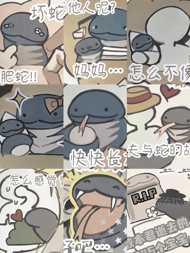 大肥蛇纯享第三期…