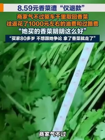 1. 江苏商家遇香菜仅退款 驱车千里上门取回货品


大家发现没有？

  第1，这事是江苏徐州的生鲜商家碰到的，上海的买家花八块五毛九买了一把香菜，收到货后嫌香菜太老，申请仅退款不退货。

   第2，商家算得清账，这次往返上海的油费过路费要花近一千元，是菜价的一百多倍，但他还是执意开车过去。