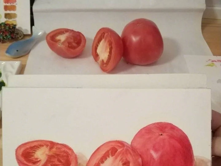 水彩西红柿 宝虹+美捷乐