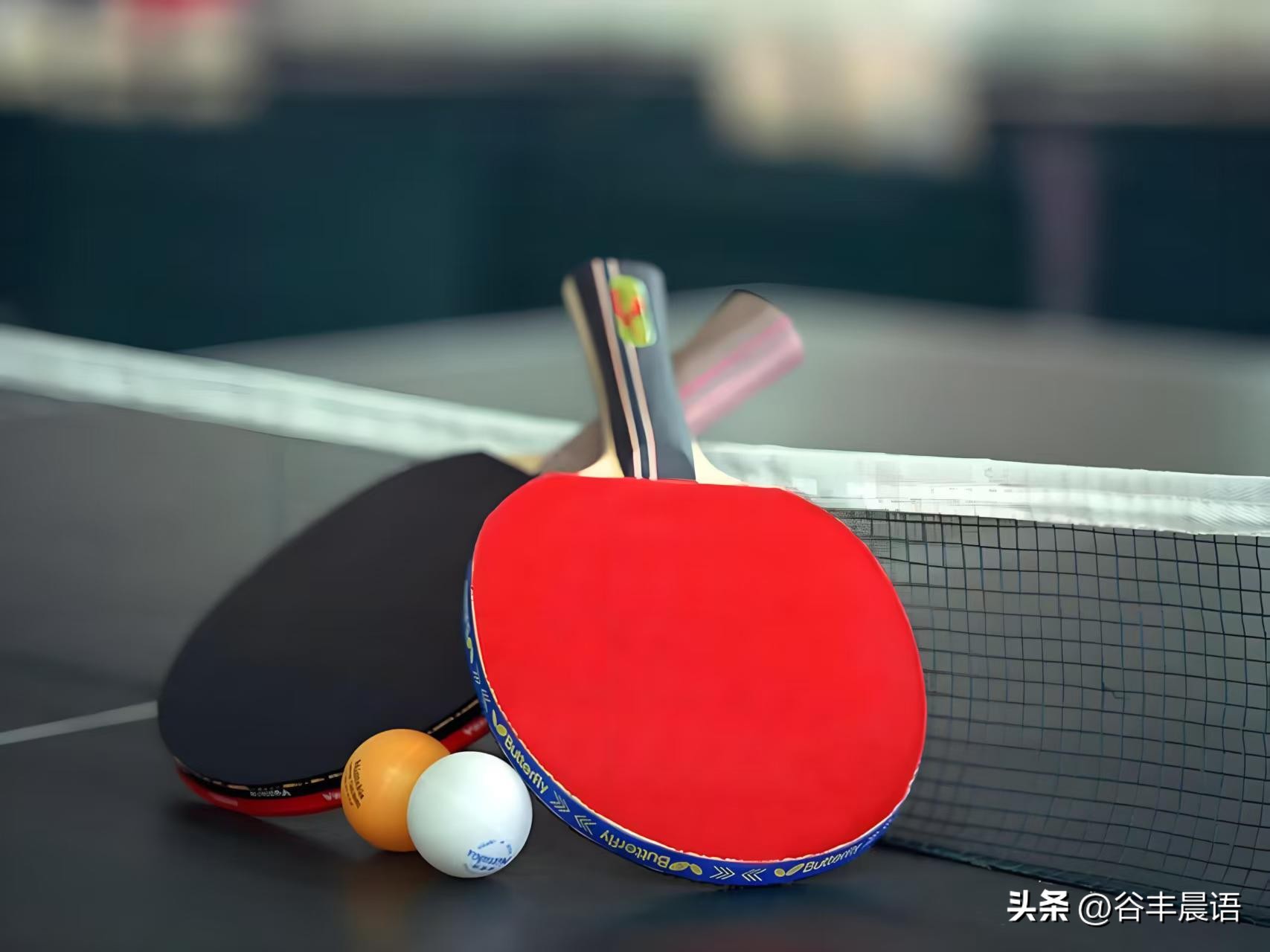 教练组太轻视林诗栋了   本次乒乓球大赛男团决赛，国乒遗憾负于日本，终...