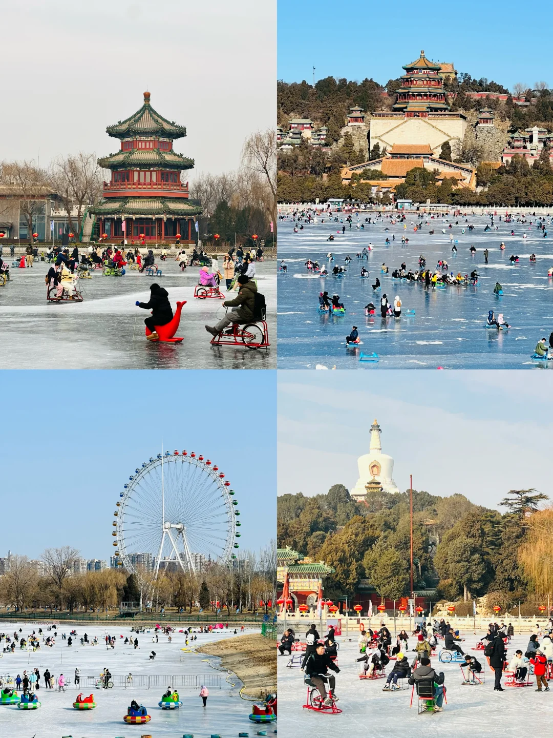 即将开滑❄北京冰场开业时间详解⛸️