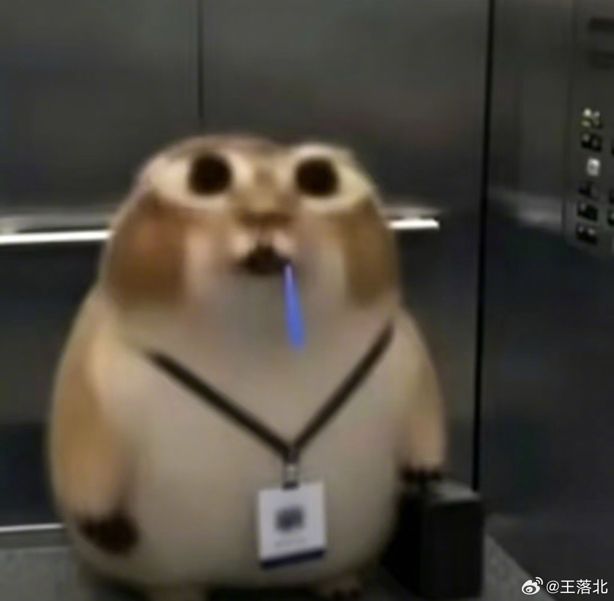一个求职小技巧：男生面试的时候可以去厕所看看，一般来说加班越多的公司...