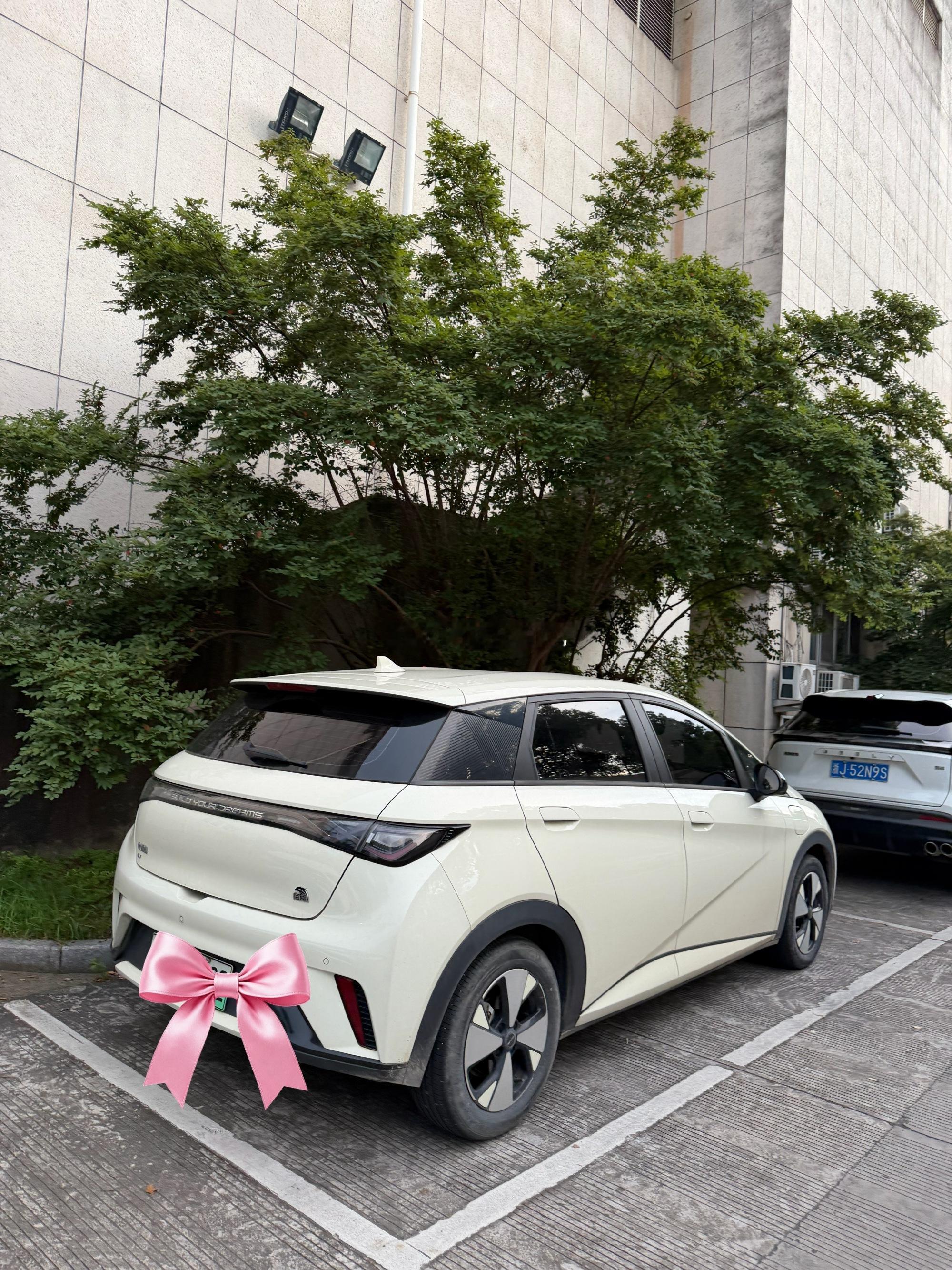 我的小电车-上班通勤小能手 自从入手比亚迪海豚自由版，彻底解锁了轻松自...