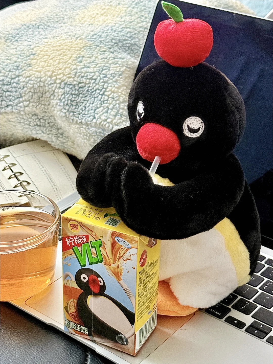 🍎🐧Pingu也爱喝维他柠檬茶