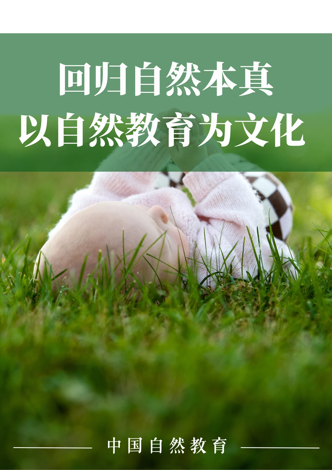 回归自然本真｜以自然教育为文化
