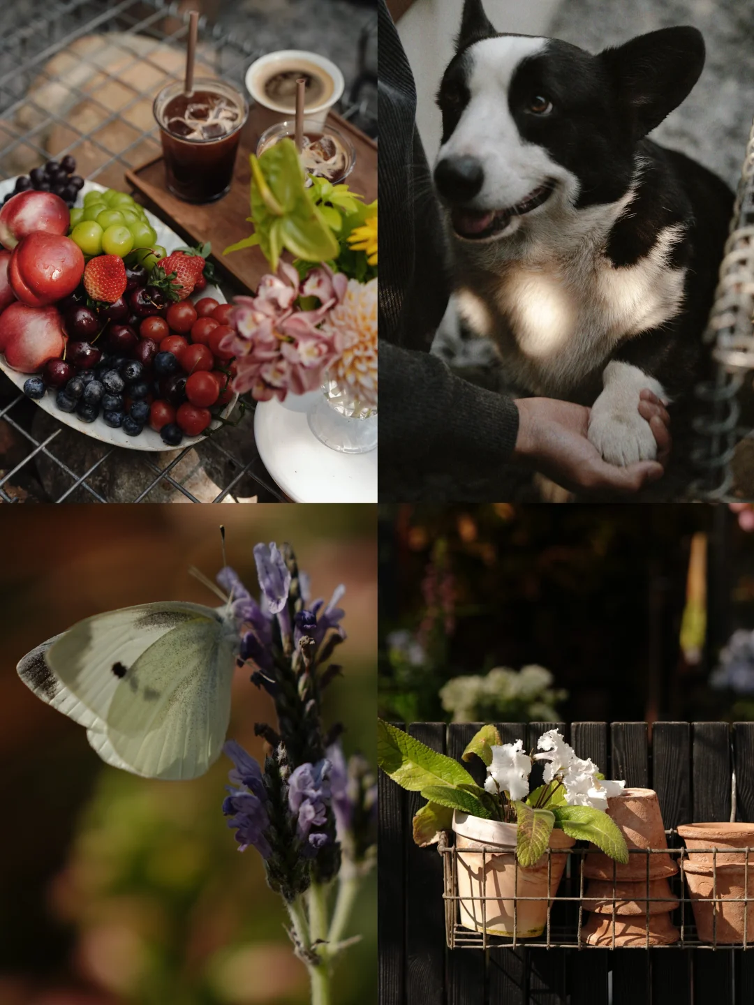 在这里的每时每刻 都像植物一样在缓慢舒展