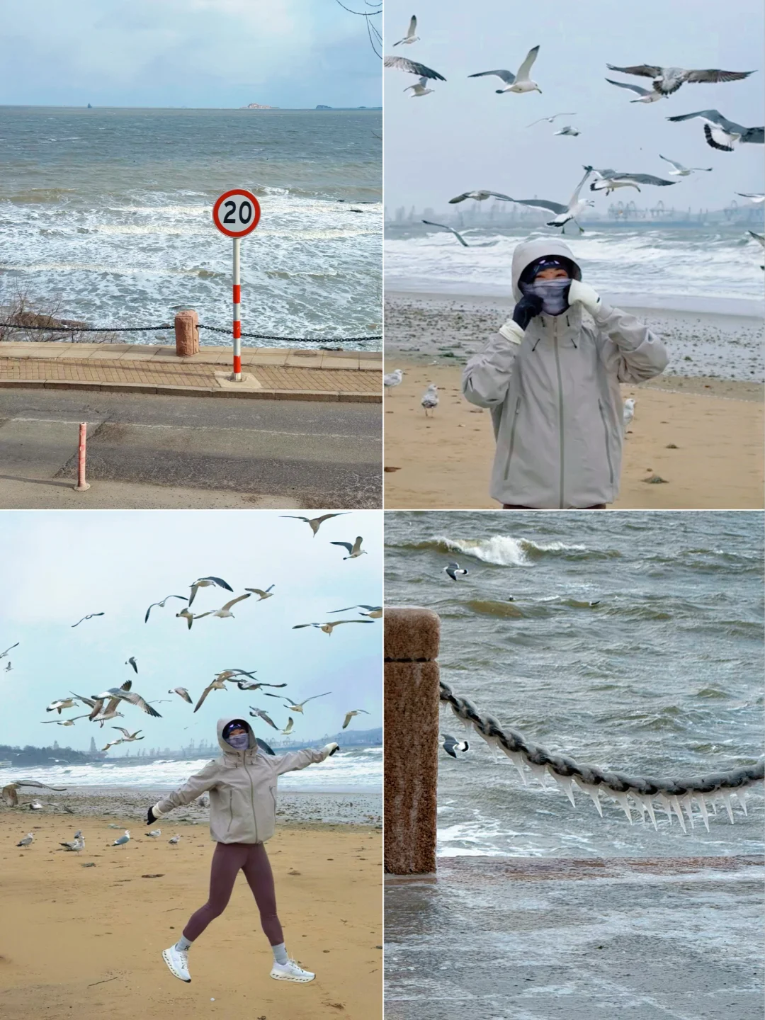 2.6烟台下雪实况｜广东人真觉得太冷啦