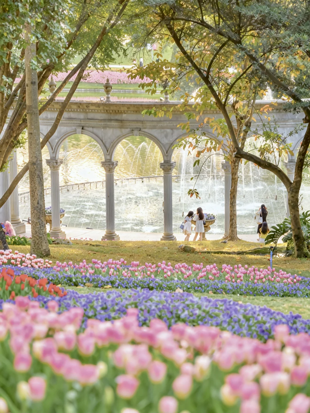 接下来的广州，是万万次的春和景明