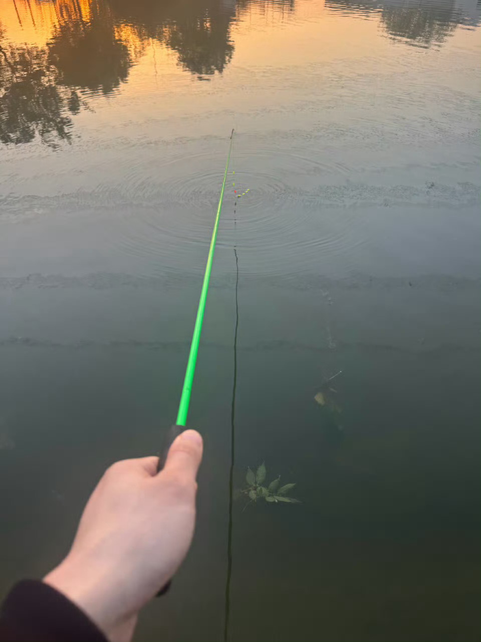 我确信是和泉林一起钓鱼🎣 ​​​