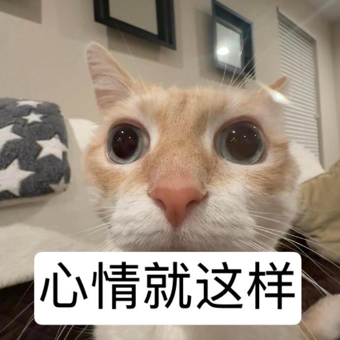 天天连个🪜天天信号差，烦的！想找gemini搞工作每次都得翻山越岭[作揖] ​
