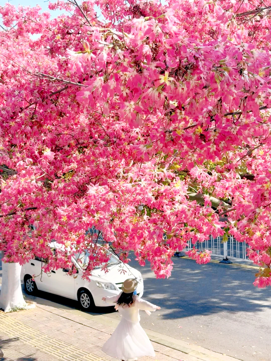 live实拍，冬天的攀枝花，幸福是免费的！！