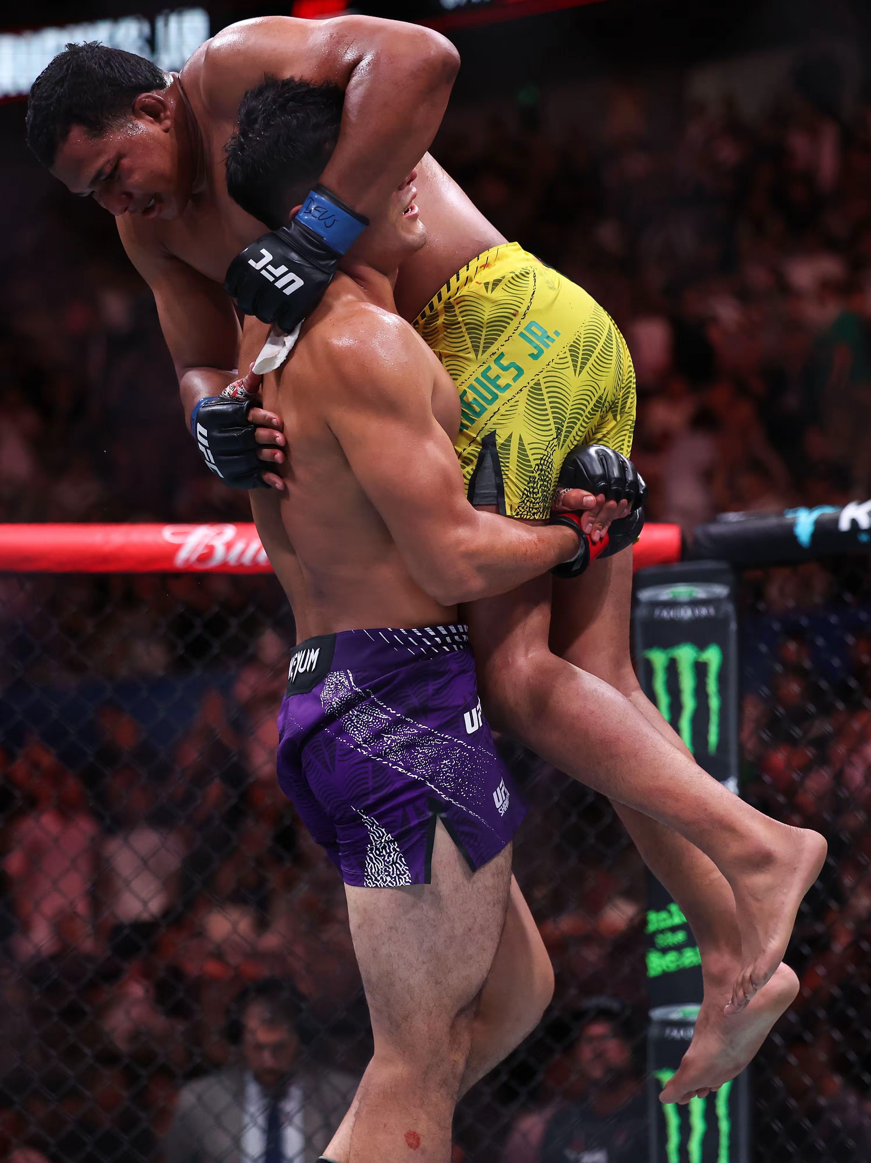 2026 UFC格斗之夜暨精英之路上海站火热开打，多位国内格斗选手登上主场擂台，和国外高手展开激烈较量，赛场之上有胜利的喜悦，同样也有失利留下的遗憾。
 
男子轻重量级的对局当中，中国选手刘策直面巴西选手利维·罗德里格斯。整场比赛节奏来回拉扯，站立进攻和地面缠斗不断切换，双方都在寻找对手防守当中的漏