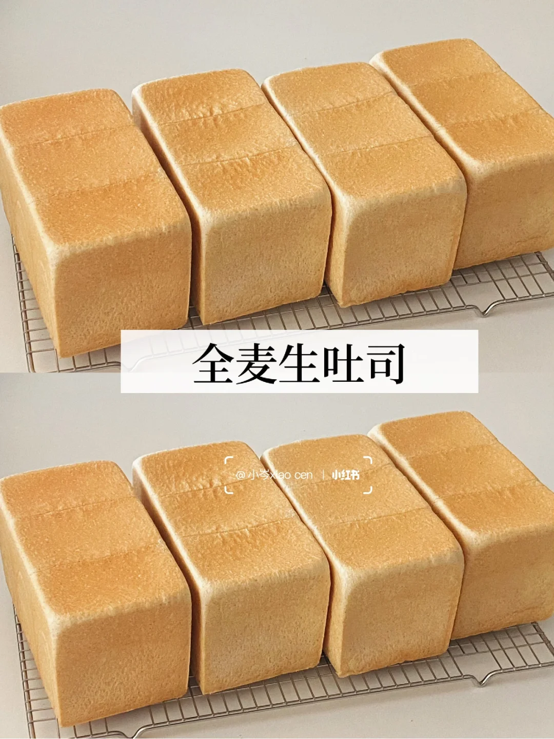 全麦生吐司｜直接法 附配方