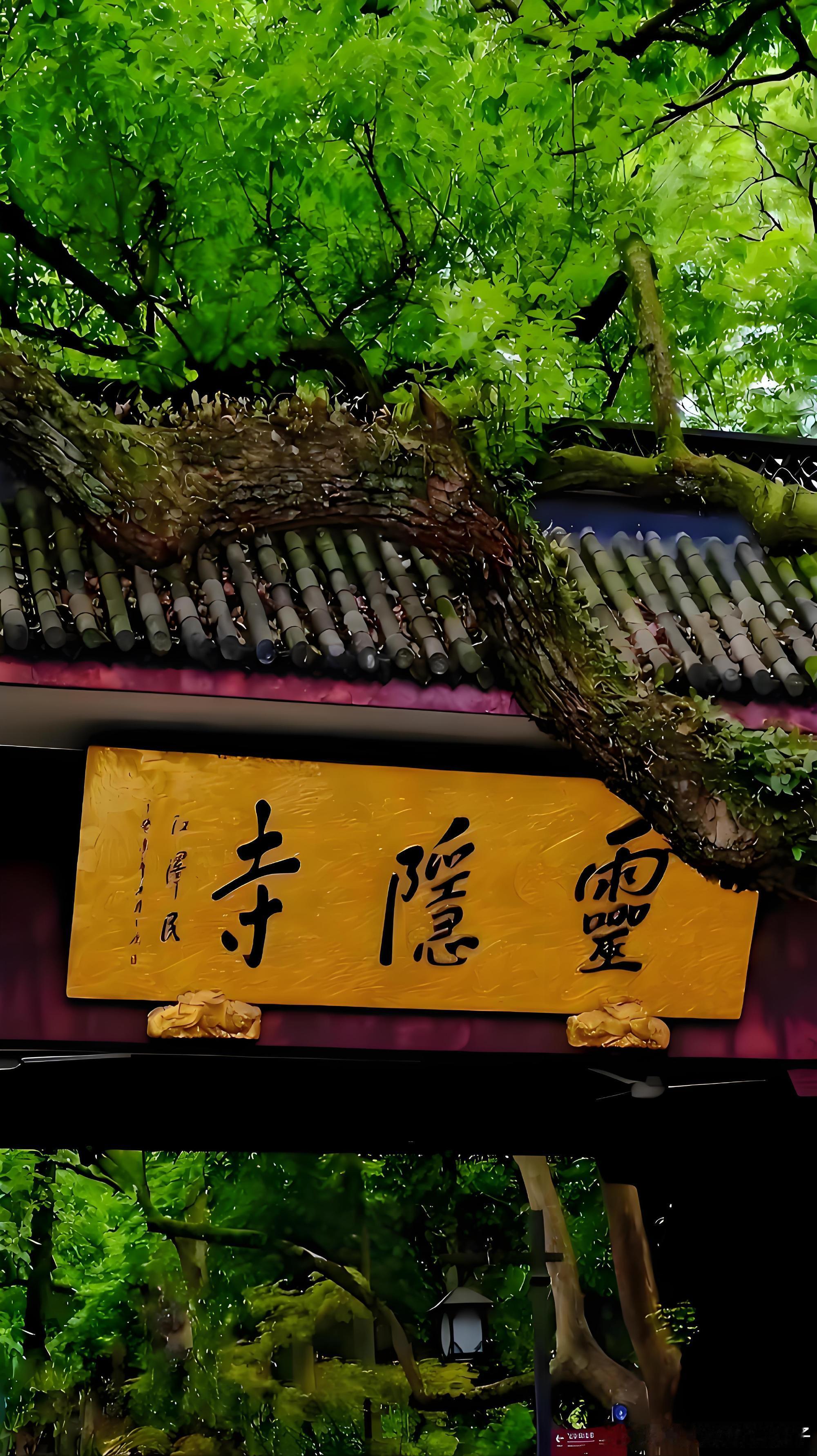 《灵隐寺的前世今生》灵隐寺的故事，是一部跨越1700年的“兴衰轮回史”...