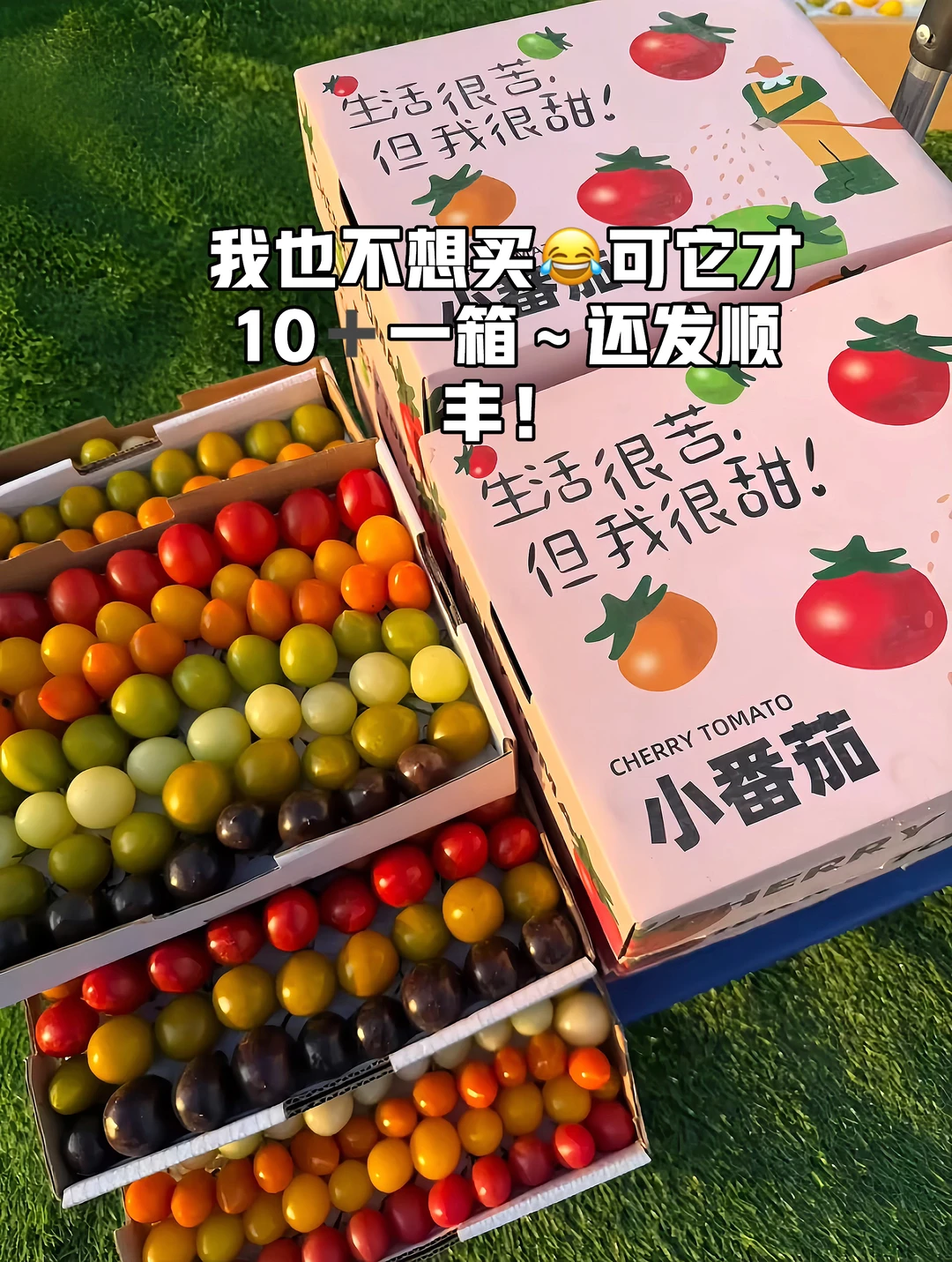 我也不想买呀可它才14➕一箱～还发顺丰