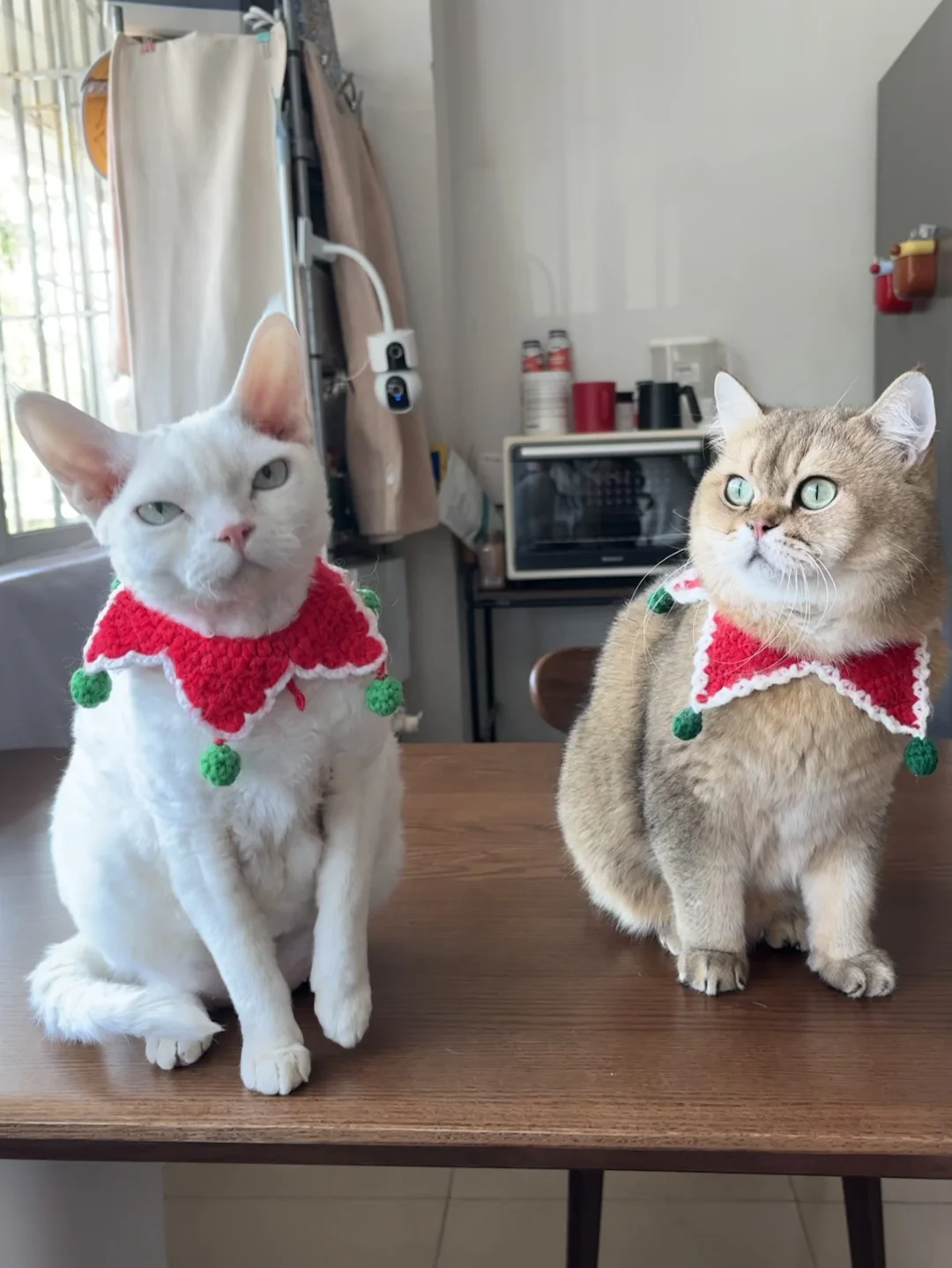 谁是魔丸谁是灵珠一目了然