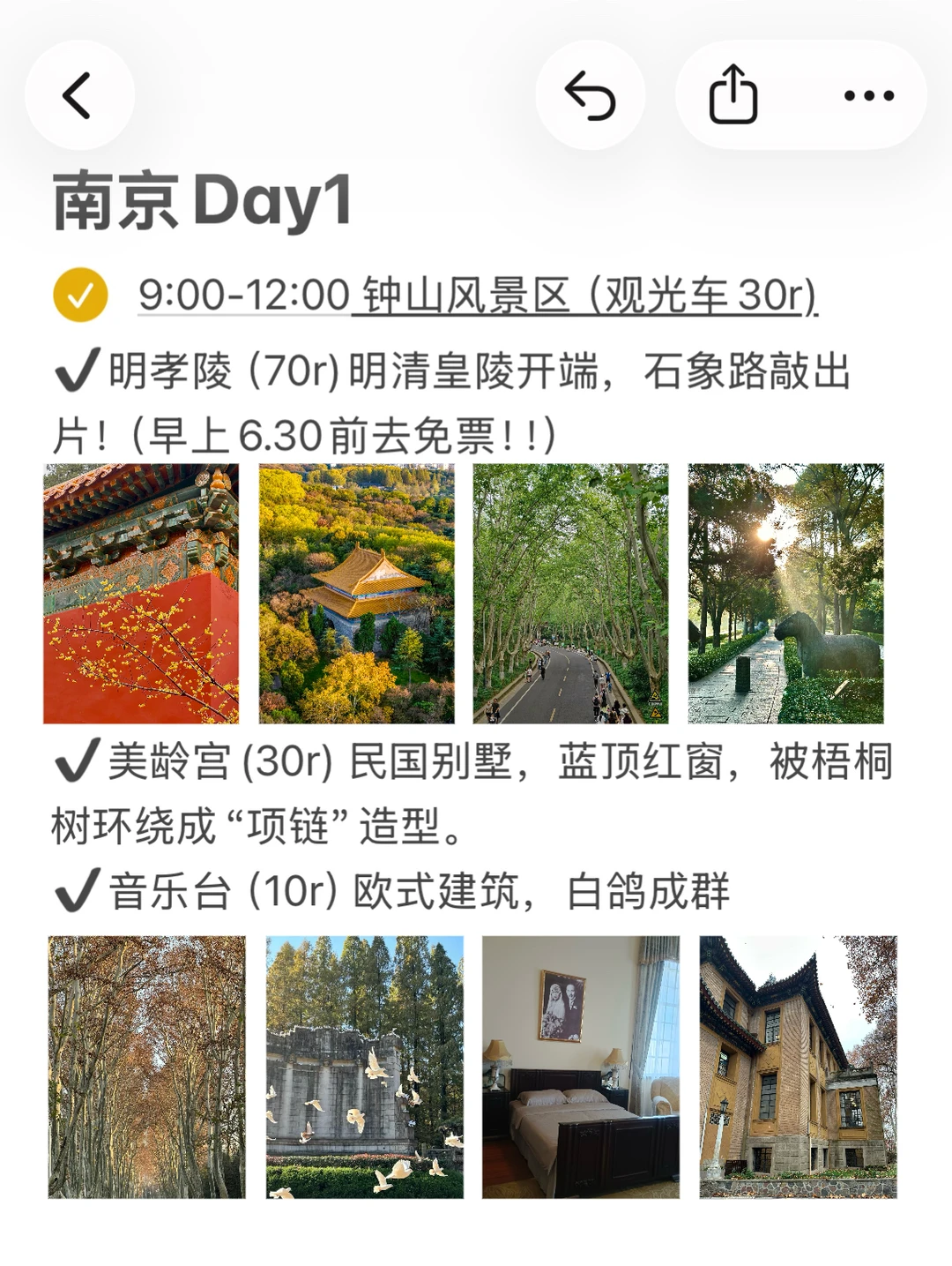 本J人做的南京攻略已经是next level了