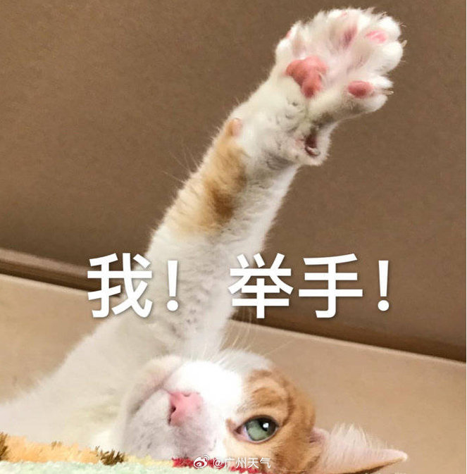 #天气会商开始了# 
想知道下一波冷空气的情况吗？
#超强台风蔷琵# ​