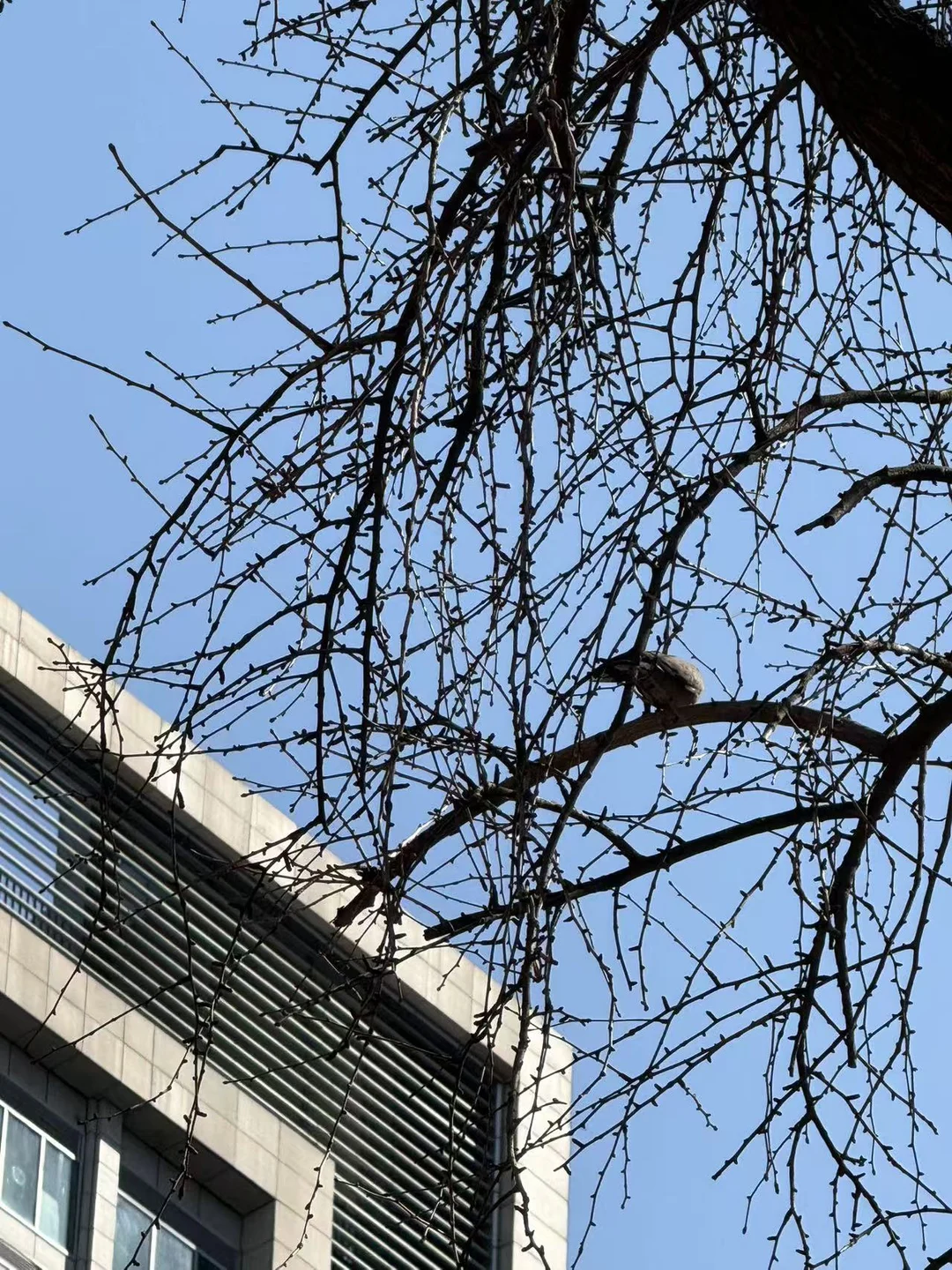 成都今天晴的像盛夏🌞