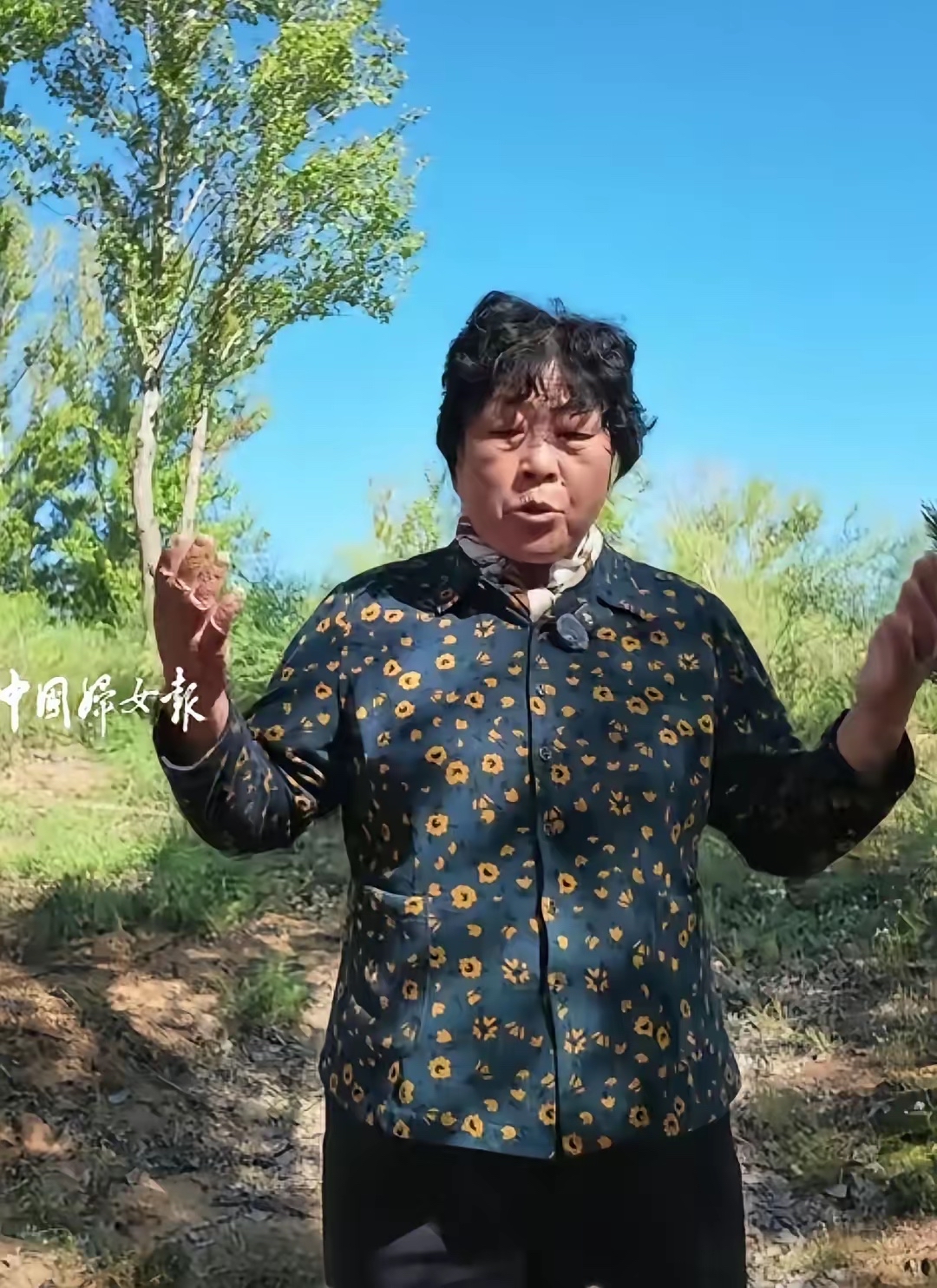 殷玉珍说在沙漠种树不能种稠了。

殷玉珍在中国妇女报采访中说：虽然我不是专家，也