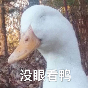 目前被马德里自治区主席阿尤索公开确认捐款的只有梅西一人❗️（当众焚烧阿...