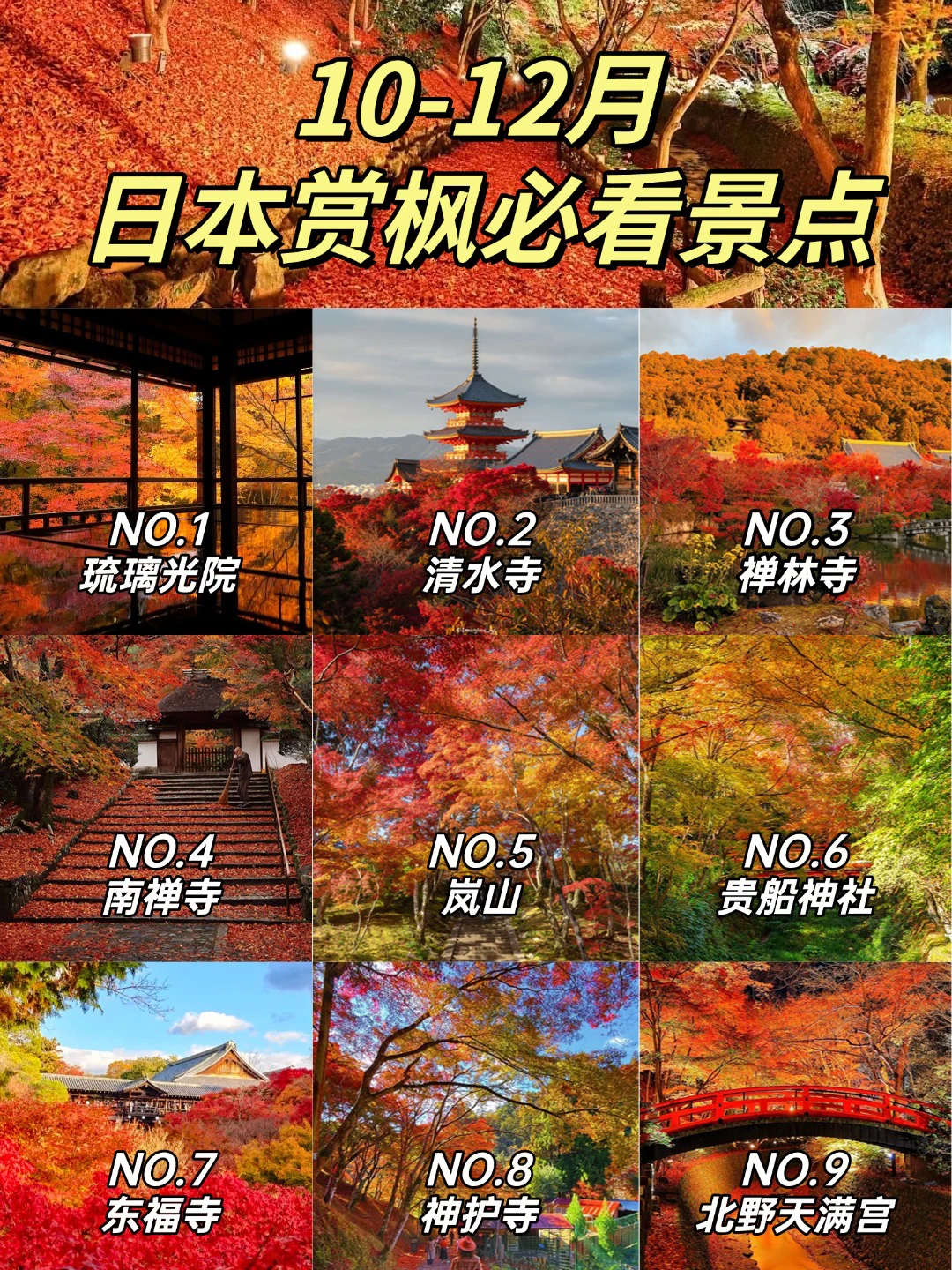 日本追枫不迷路🍁照着走就对了！