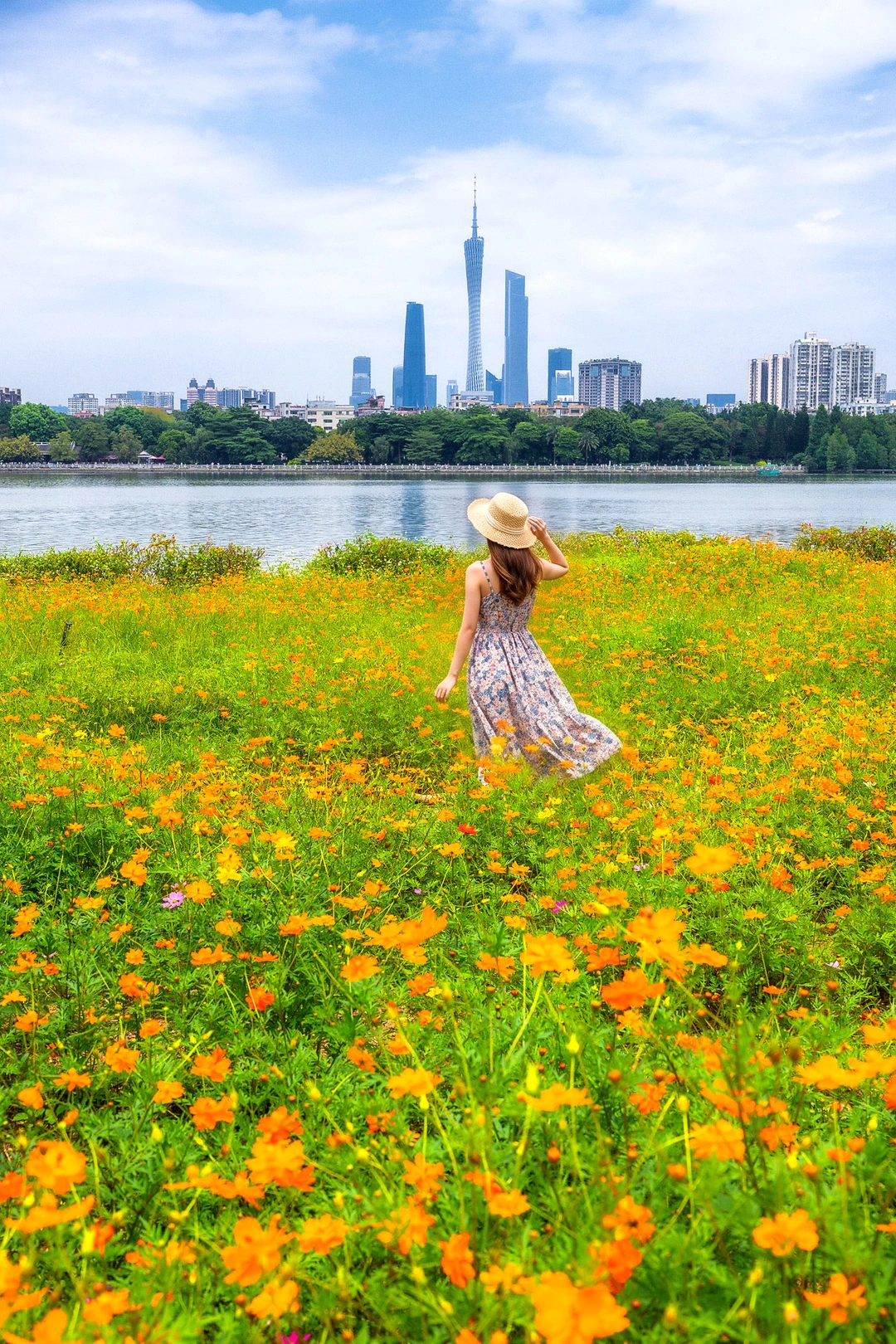 海珠湖花海机位，都市天际线+花海的反差感