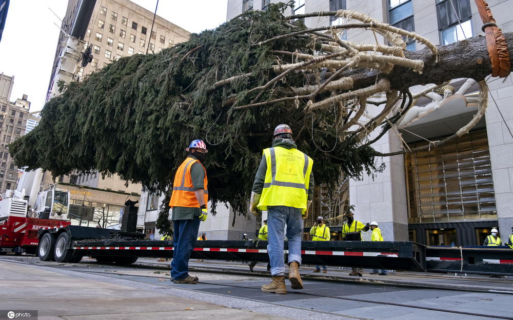 美國紐約洛克菲勒中心年度聖誕樹開始裝飾-圖4