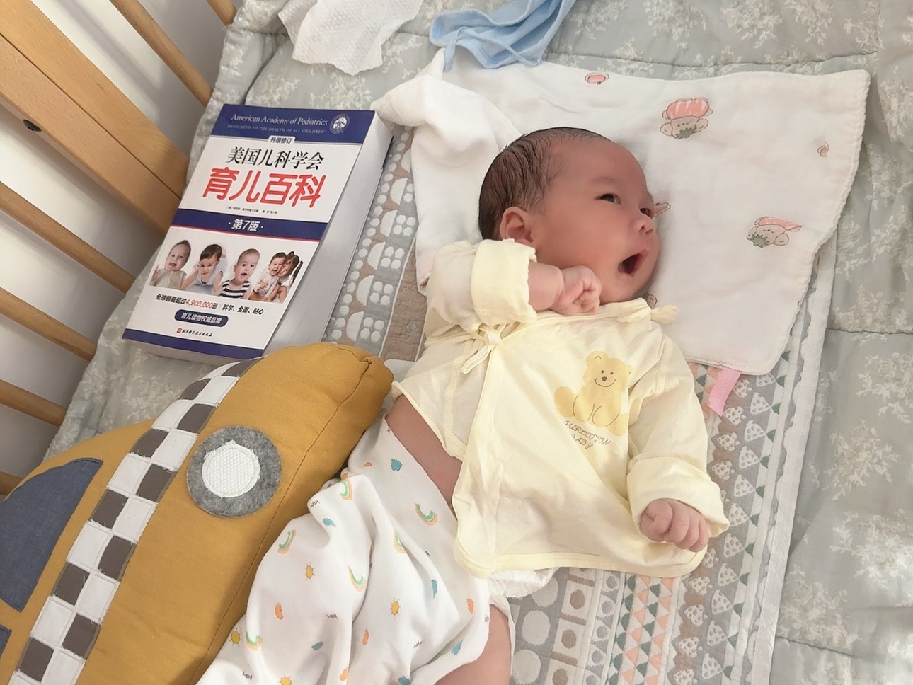朋友送的 我准备让鼠自学。。。 ​​​