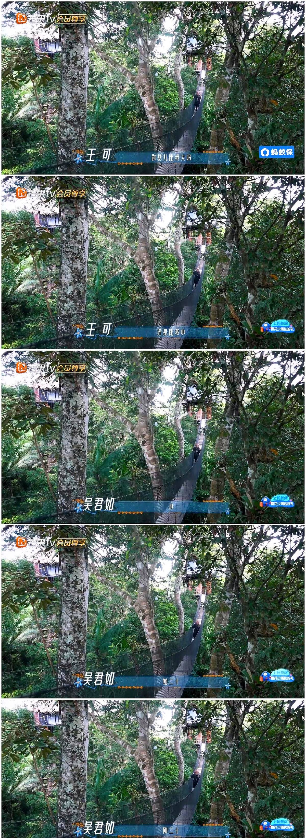 吴君如在亚马逊丛林辛苦录综艺，20岁的女儿竟然反过来羡慕她。

跟王可聊起女儿，吴君如一脸无奈。女儿刚读完大一，正跟着背包团到处旅游，听说亲妈去亚马逊，满脑子只觉得好玩。一边是行程紧密的工作，一边是无忧无虑的度假，吴君如和王可相视而笑，满是意味深长。二十岁还在享受生活的孩子，确实很难感同身受母亲打拼
