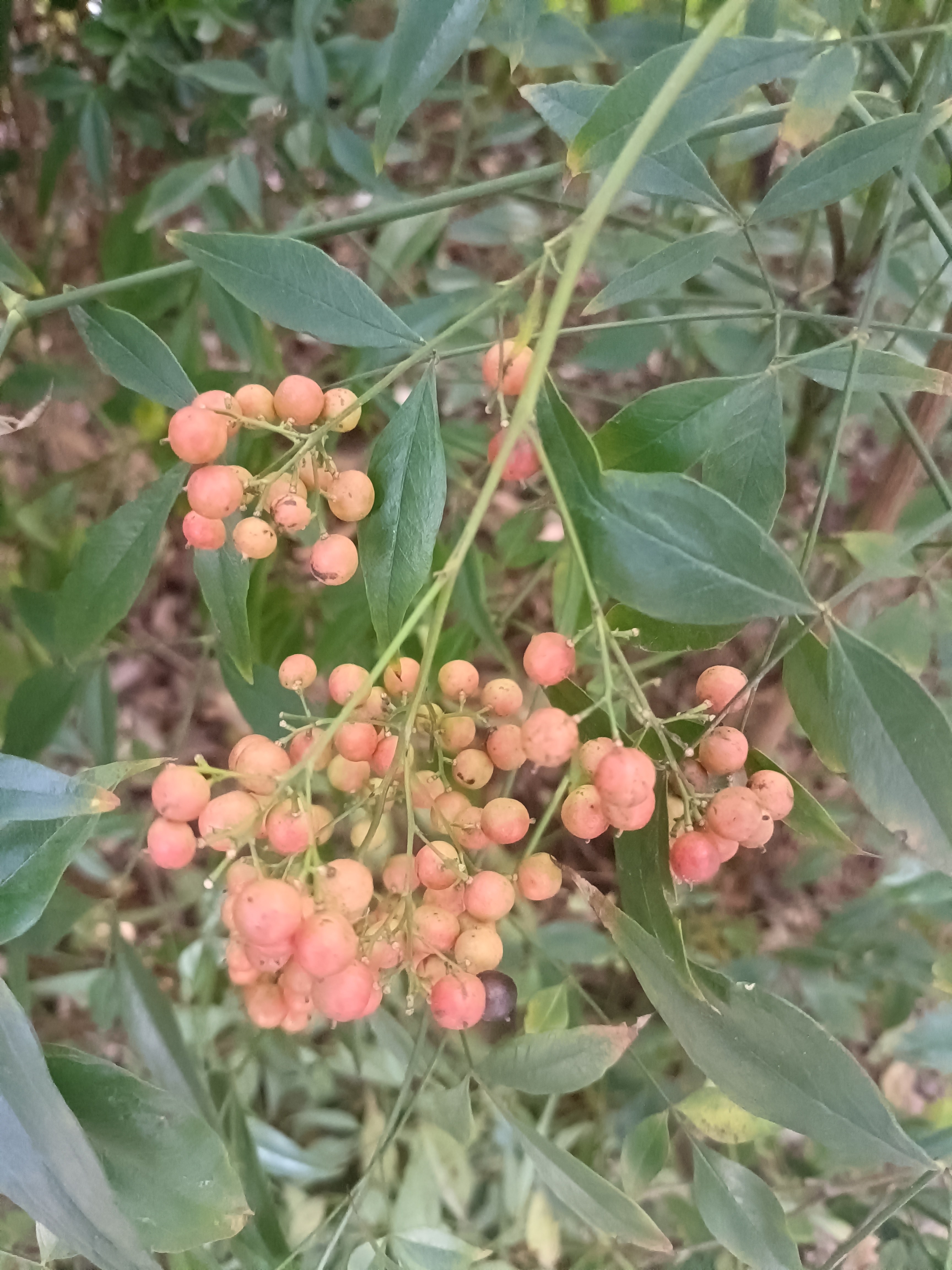 生活中确实存在具备这六条特征的人渣，他们品行恶劣，我们唯有远离，千万不...