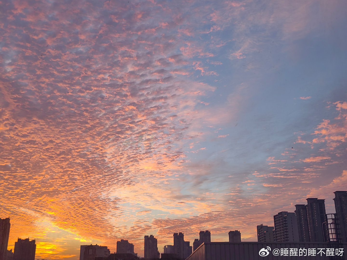 #张凌赫[超话]# 今天早上很幸运看见这个景色，这份幸运也分享给你，哥哥[卡皮巴拉][卡皮巴拉][卡皮巴拉]​