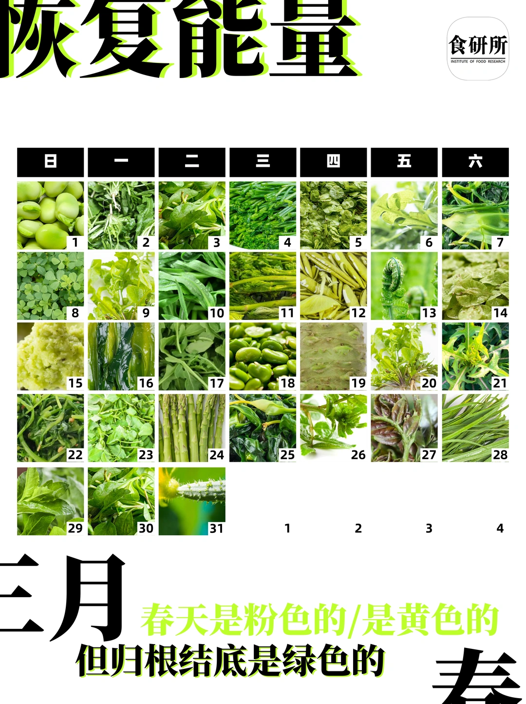 🌿阳春三月 | 从15种绿色开始恢复能量！