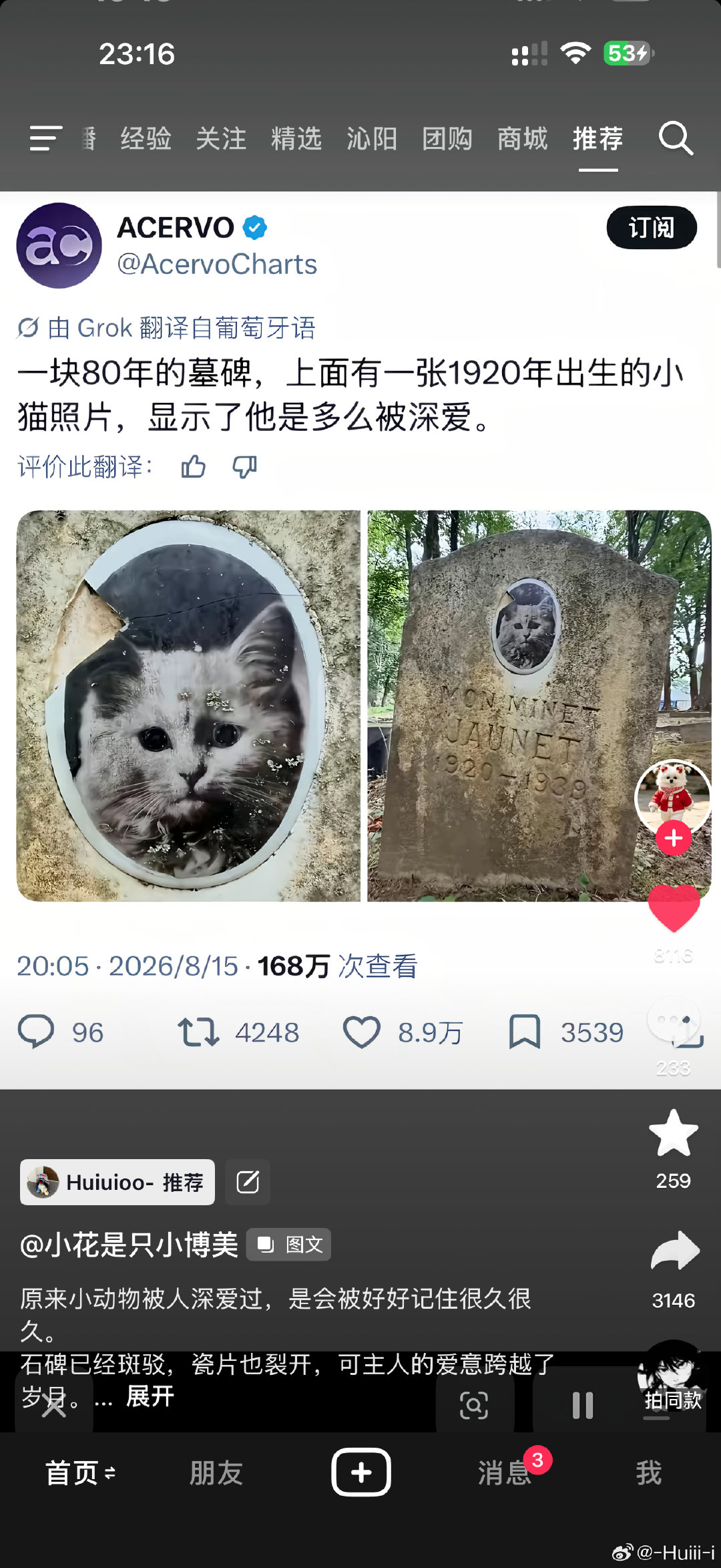 哎 每次刷到小猫这样 我心里就可难受我就在想我路虎等以后不在了我得多难过 ​