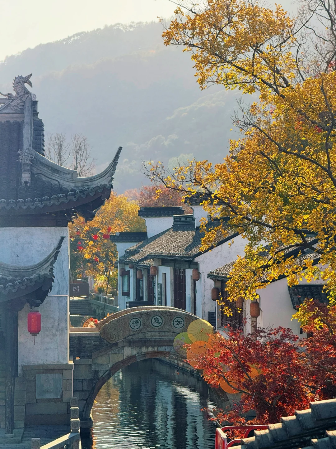 12.3实拍🍁为了这1️⃣8️⃣张live专门去了无锡