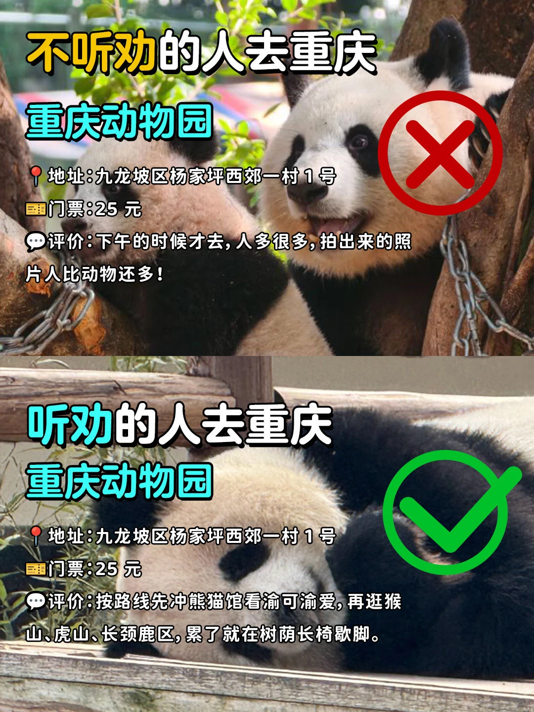 来重庆旅游！说些上没提到的点😎