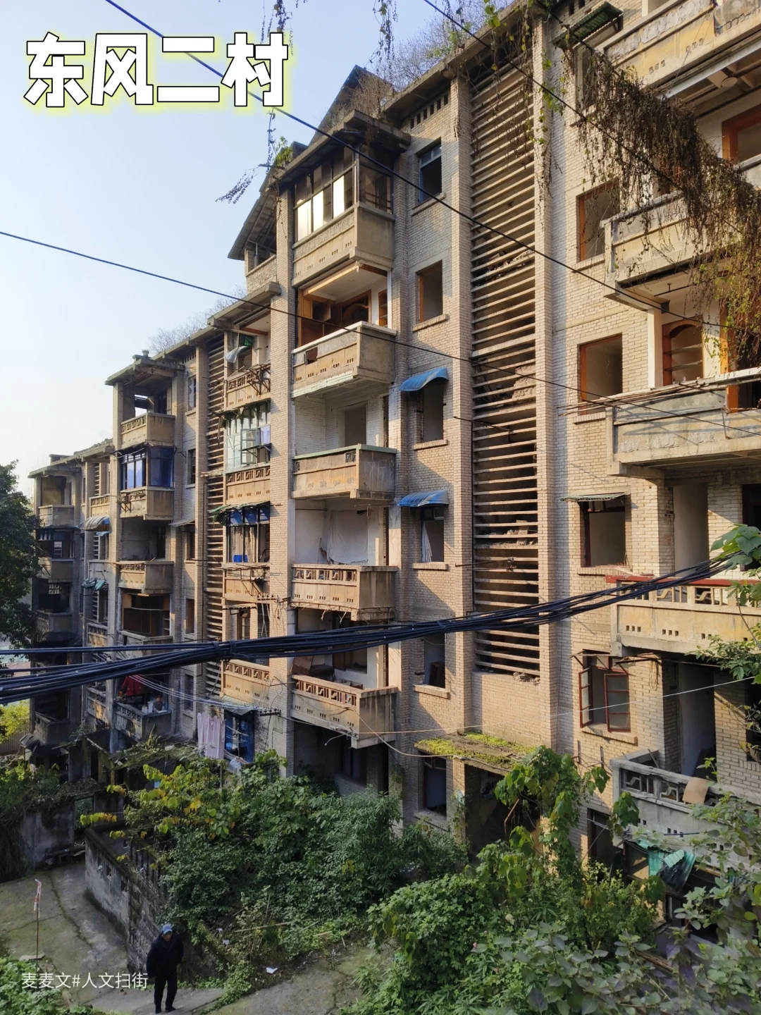 【江北】人类消失后的东风造船厂家属区