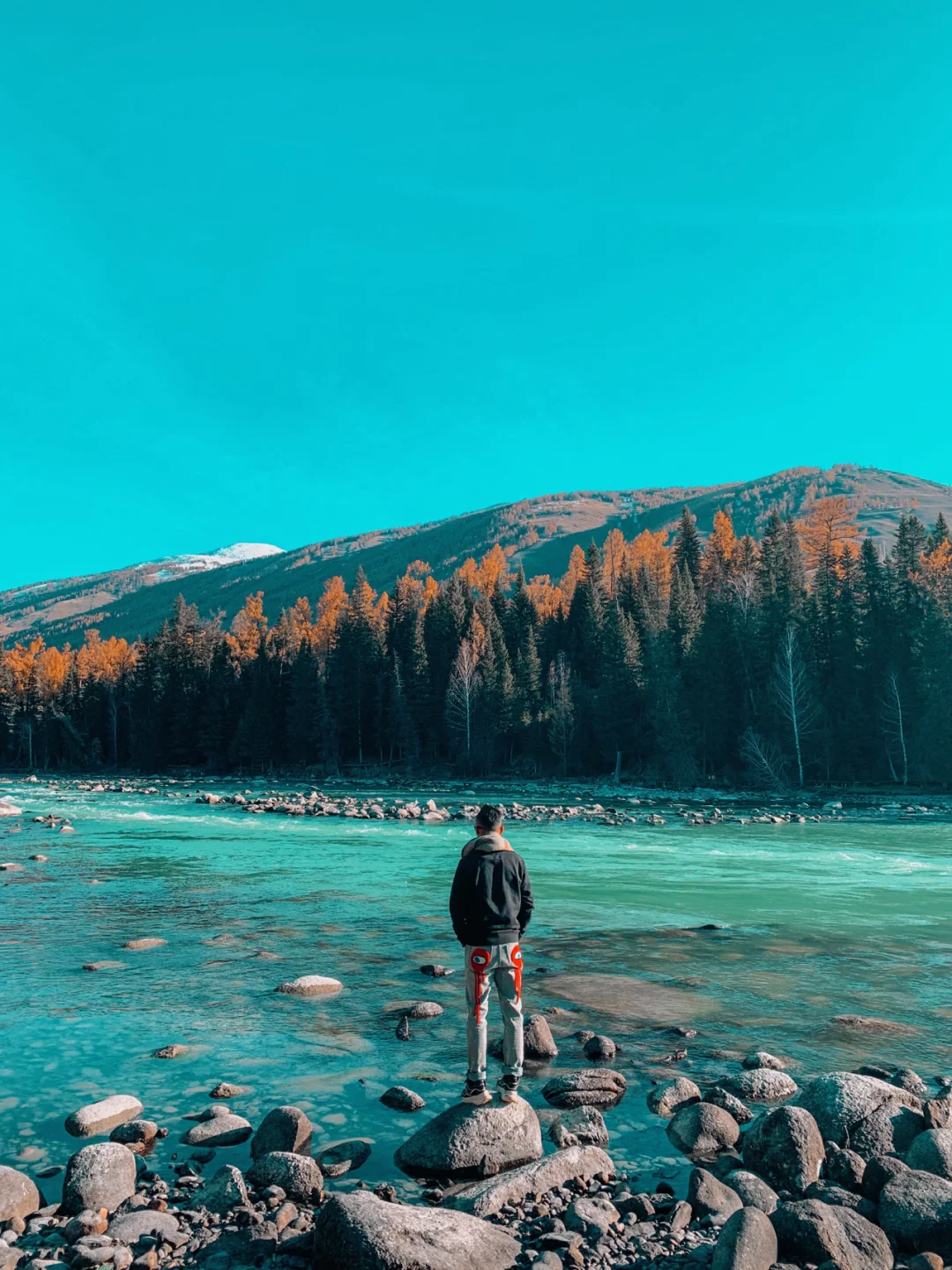 新疆喀纳斯｜这样玩可以拍出不一样的美照