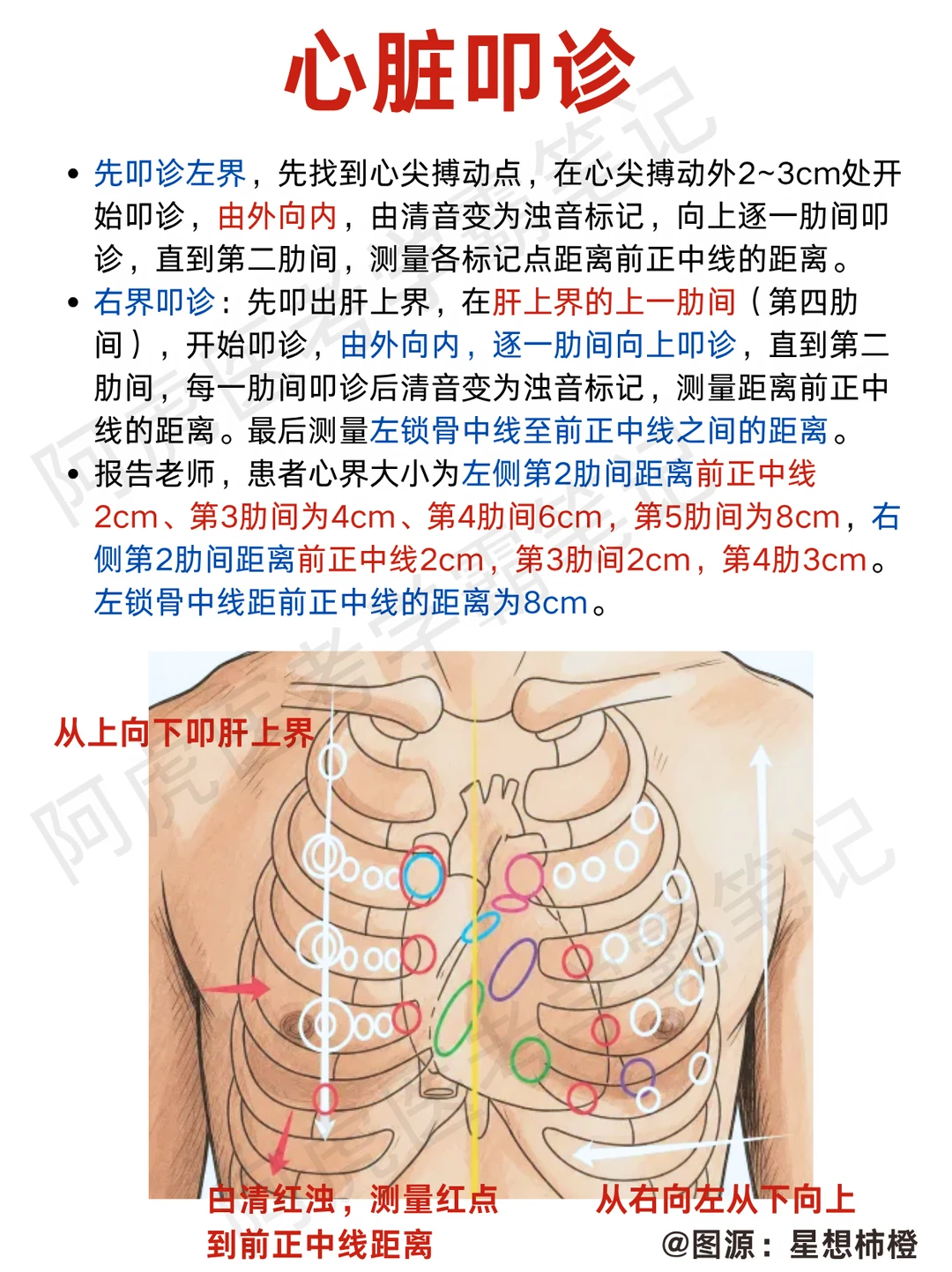 阿虎医考执医技能笔记📚|心脏叩诊👆