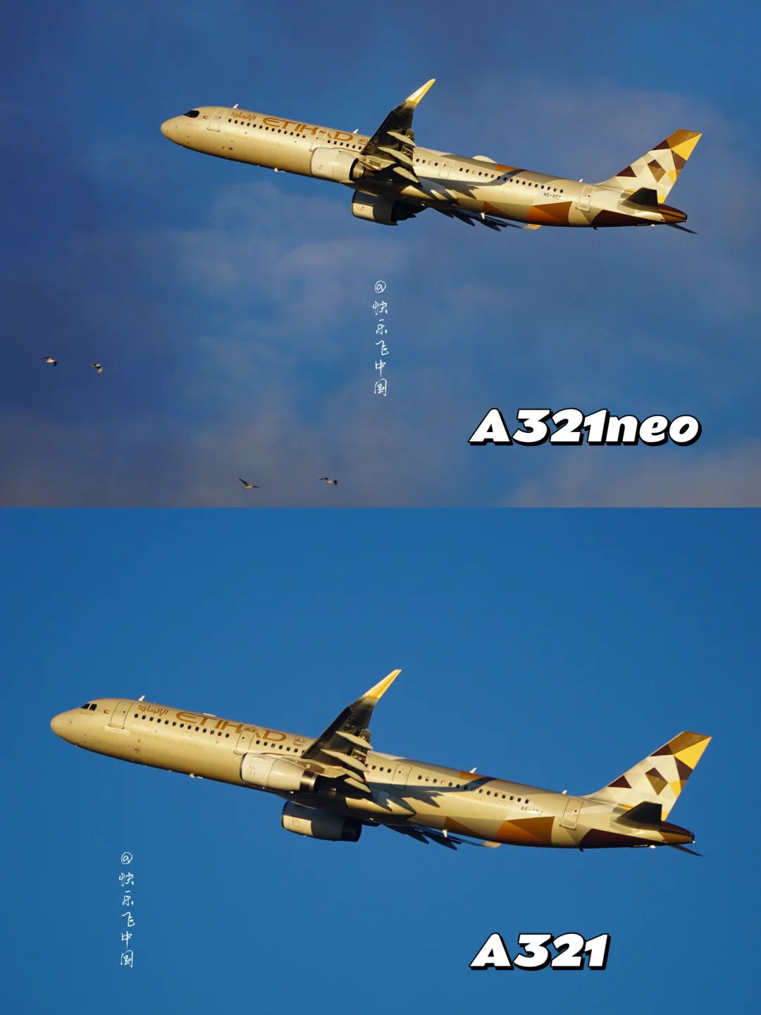 同一个阿联酋：EK搞大飞机，EY搞小飞机❓