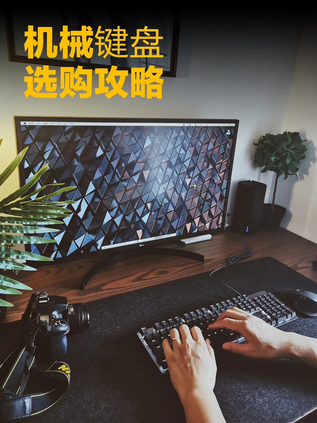 评测|罗技K845机械键盘到底值得买吗？