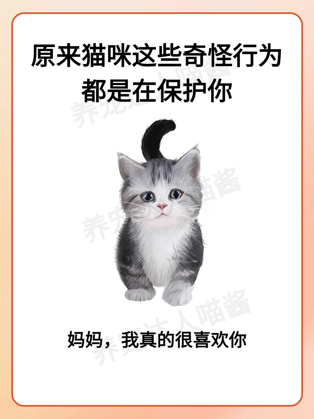 原来猫咪这些奇怪的行为是在保护你