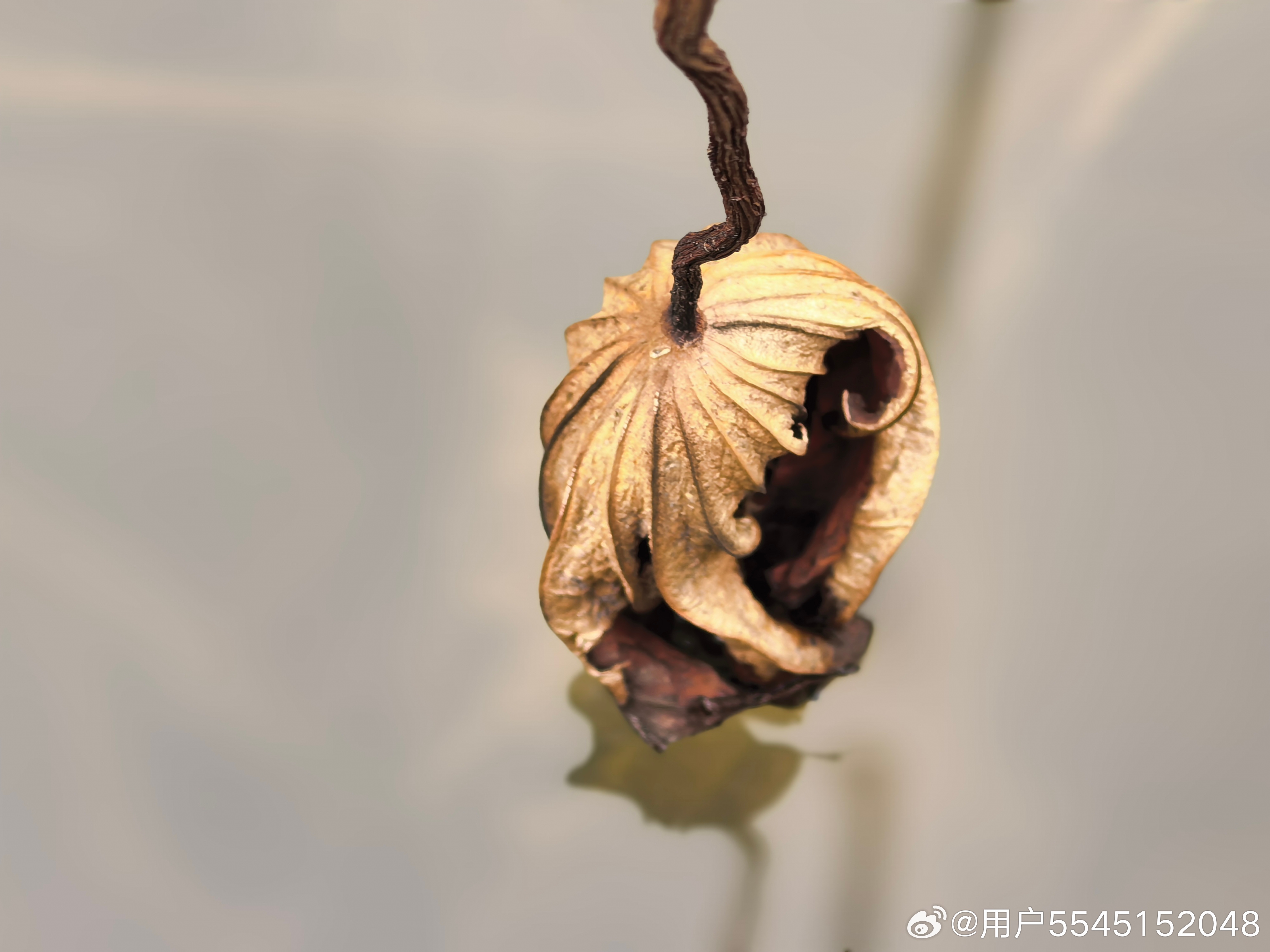 美舰为何选择凌晨冲闯仙宾礁？
美舰选择凌晨冲闯仙宾礁，是美军经过精准算计的一次低成本政治挑衅，核心目的是借暗夜掩护实现多重战术与战略目标，全程被南部战区兵力全程跟踪监视。
一、事件当日：凌晨发现、全程管控（10月20日）
1、‌凌晨‌：美"查尔斯顿"号濒海战斗舰（LCS-18）在夜色掩护下逼近仙 ​