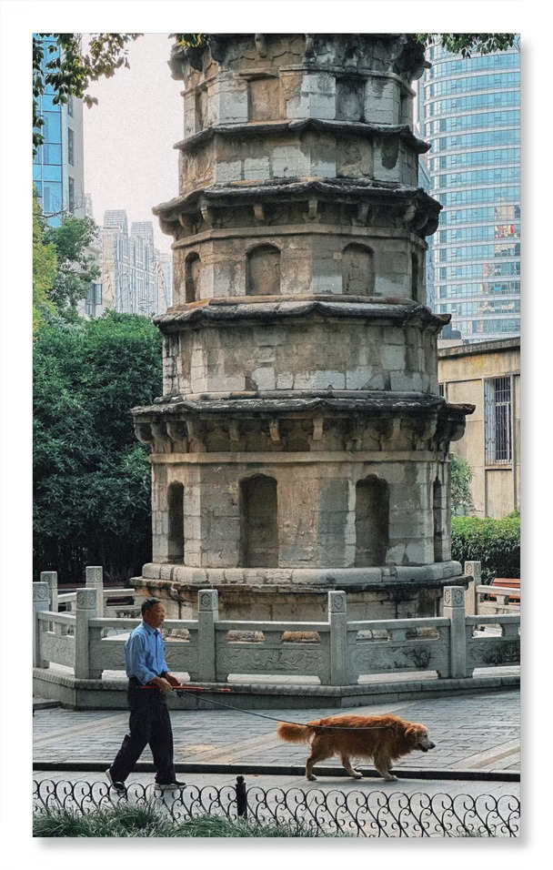 洪山公园随手拍