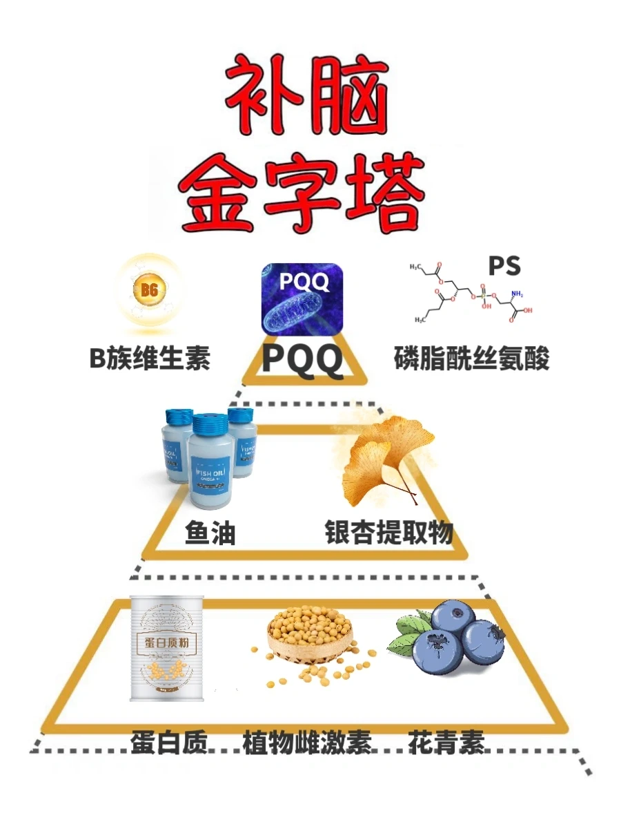 记忆力不如从前？补脑请先听听大脑喜欢什么