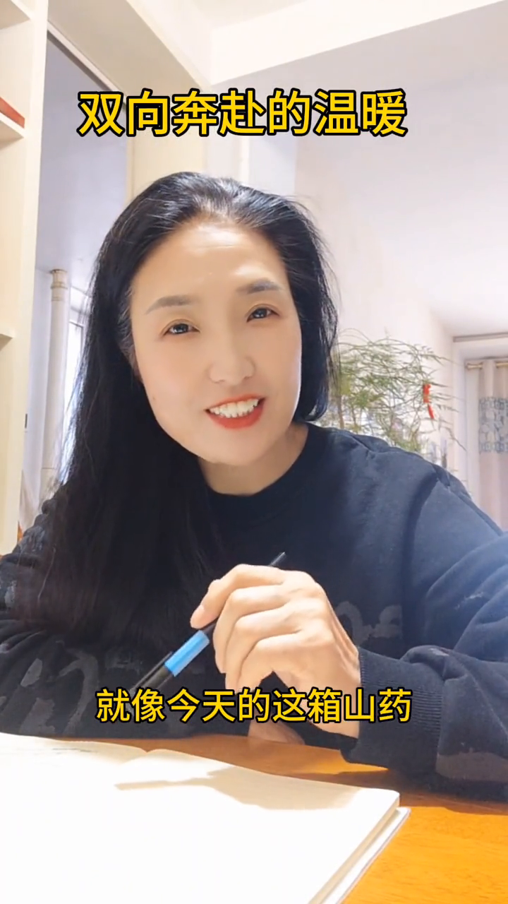 海边的优雅女神，托管的未来规划师