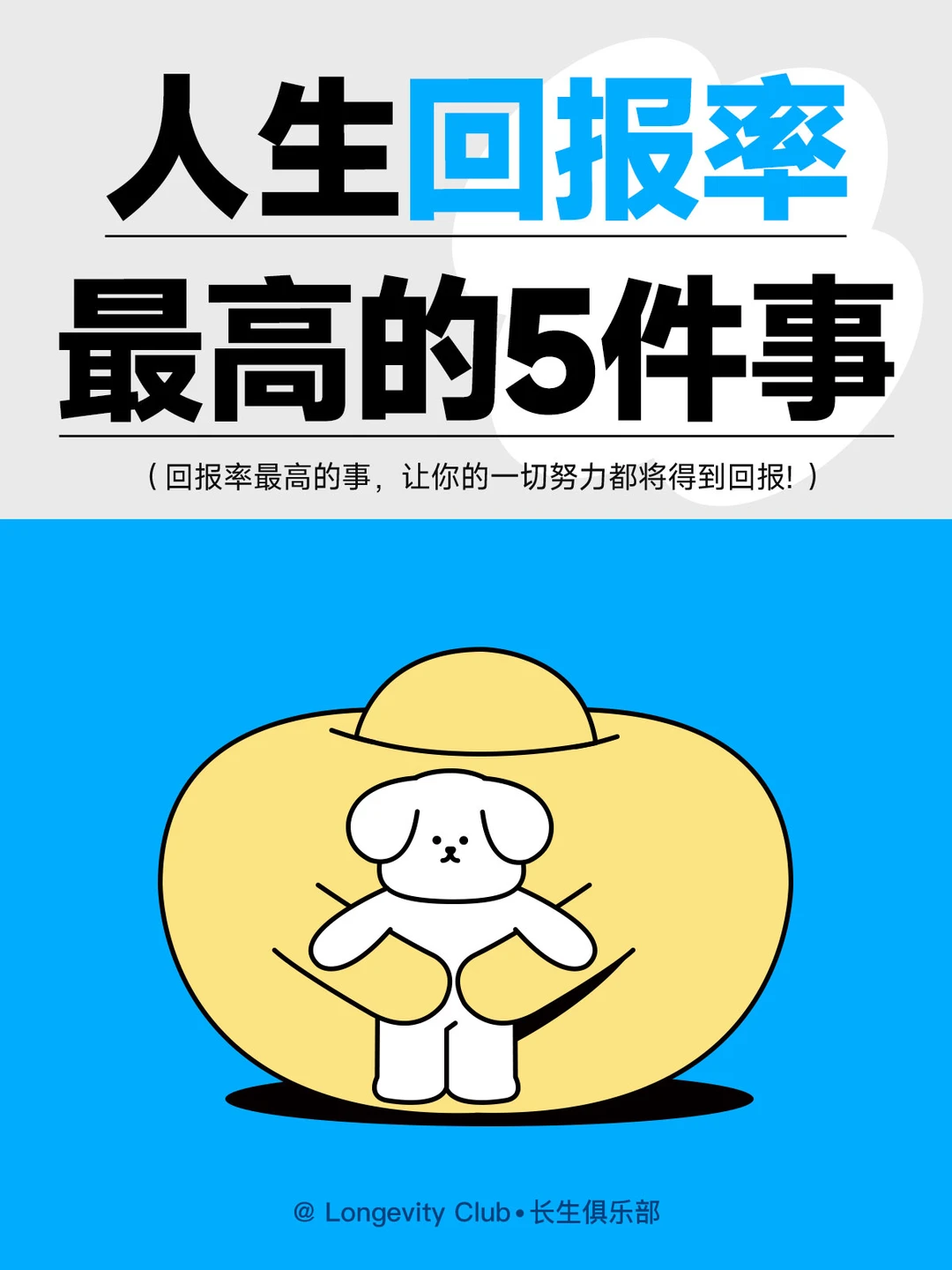 人生回报率最高的5🖐件事