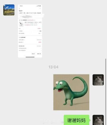 你怎么知道妈妈刚给我买了pocket4<br />因为根本没抢到4p ...