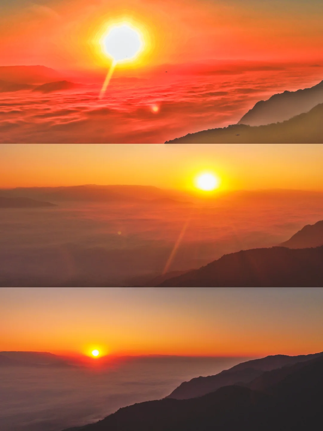 震撼的哀牢山云海日出🌅全攻略👍